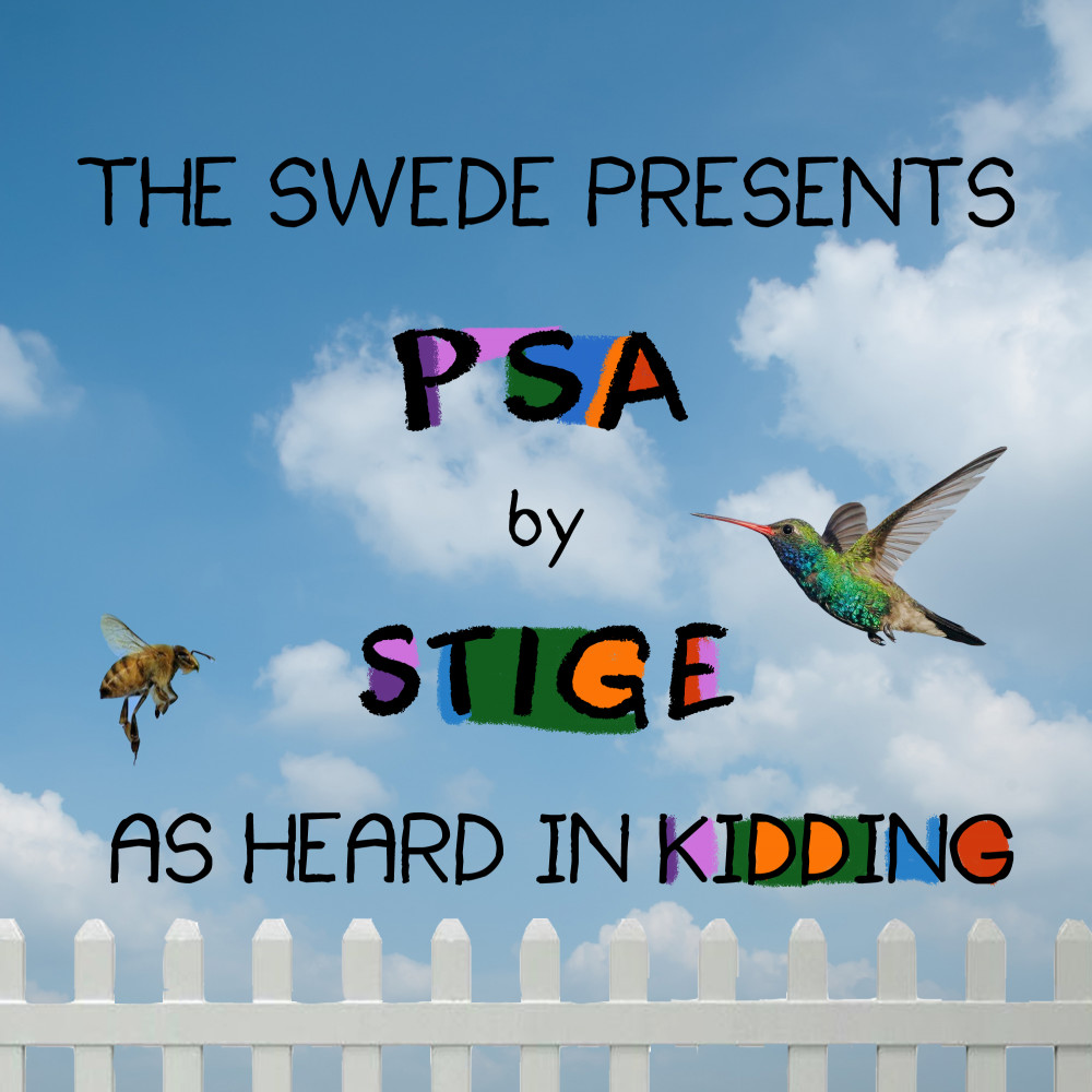 PSA (As Heard in Kidding) (Instrumental)