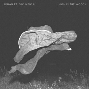 收聽johan lenox的High in the Woods (Explicit)歌詞歌曲