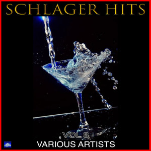 ดาวน์โหลดและฟังเพลง Wer soll das bezahlen พร้อมเนื้อเพลงจาก Jupp Schmitz
