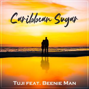 Album Caribbean sugar (feat. Beenie Man & Chris S) from Tuji