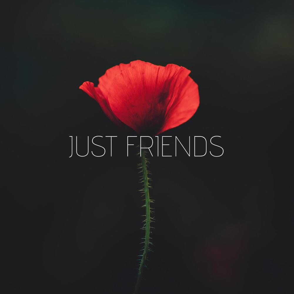 Just Friends