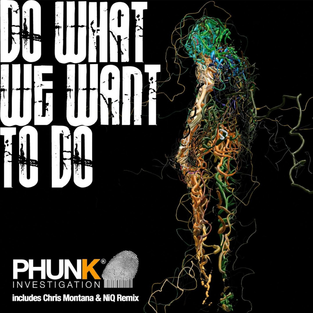 Do What We Want To Do (Chris Montana & NiQ Remix)