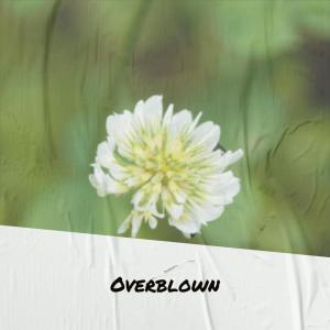 Various的专辑Overblown