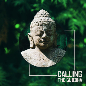 收聽Buddha Music Sanctuary的Chakra Healing歌詞歌曲
