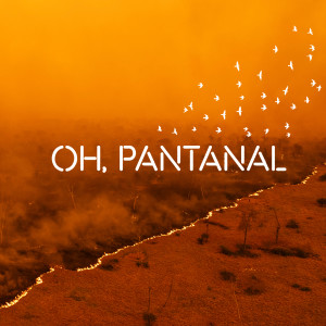 ดาวน์โหลดและฟังเพลง Oh, Pantanal พร้อมเนื้อเพลงจาก Chico César