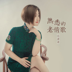收听云菲菲的熟悉的老情歌 (DJ沈念版)歌词歌曲