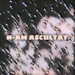 ดาวน์โหลดและฟังเพลง N-AM ASCULTAT พร้อมเนื้อเพลงจาก Sebz
