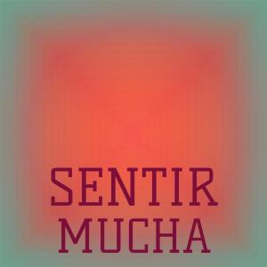 Listen to Schaefer Tailpin song with lyrics from Daid
