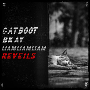 Listen to Réveils (Explicit) song with lyrics from Catboot