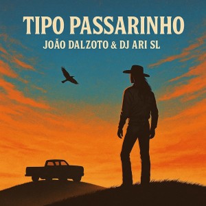 收听João Dalzoto的Tipo Passarinho歌词歌曲