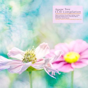Listen to Prayer For The Lord song with lyrics from Pamos
