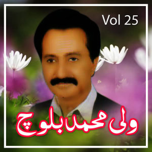 收聽Wali Muhammad Baloch的Wastagay Rochani歌詞歌曲