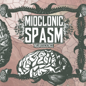 ดาวน์โหลดและฟังเพลง Turkish Chair พร้อมเนื้อเพลงจาก Mioclonic Spasm