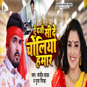 Album Ae Darji Si De Choliya Hamar from SANJEEV YADAV