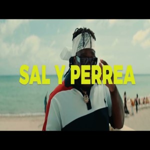 Dengarkan Sal y Perrea lagu dari DJ Tik Tok dengan lirik