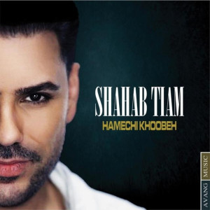 Listen to Hamechi Khoobeh song with lyrics from Shahab Tiam