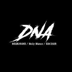 Listen to DNA song with lyrics from Belly blanco