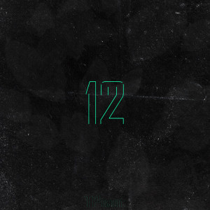 Listen to 12 song with lyrics from TPiant