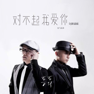 Album 对不起我爱你 (Dj默涵版) from 龙飞龙泽