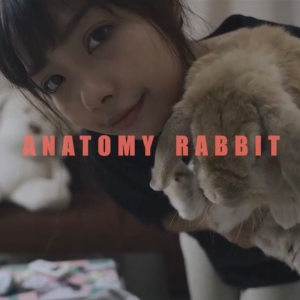 收聽Anatomy Rabbit的แอบหวัง歌詞歌曲