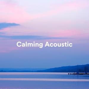 Calming Acoustic dari Various Artists