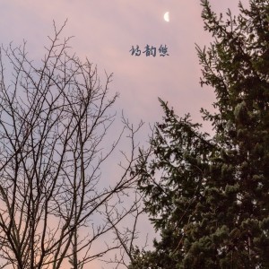 Album 诗韵悠 from 禅修音乐盒