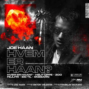 ดาวน์โหลดและฟังเพลง Zoo พร้อมเนื้อเพลงจาก Joe Haan