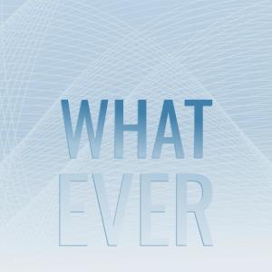 收聽Shaym Hoan的Member Overeater歌詞歌曲