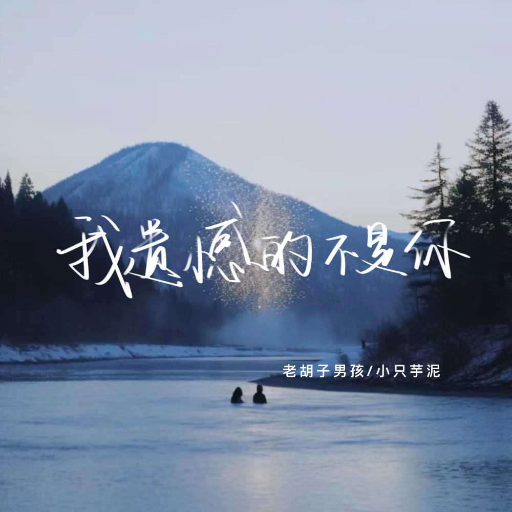 我遗憾的不是你 (伴奏)