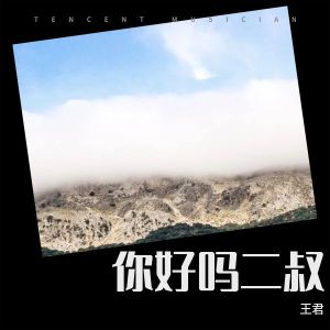 Listen to 你好吗二叔 (完整版) song with lyrics from 王君