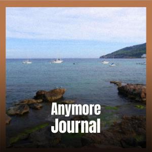 Album Anymore Journal from Various