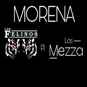 收聽Los Felinos的Morena歌詞歌曲