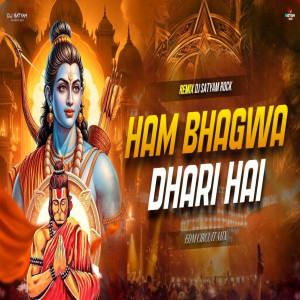 อัลบัม Ham Bhagwadhari Hai ศิลปิน DJ Remix