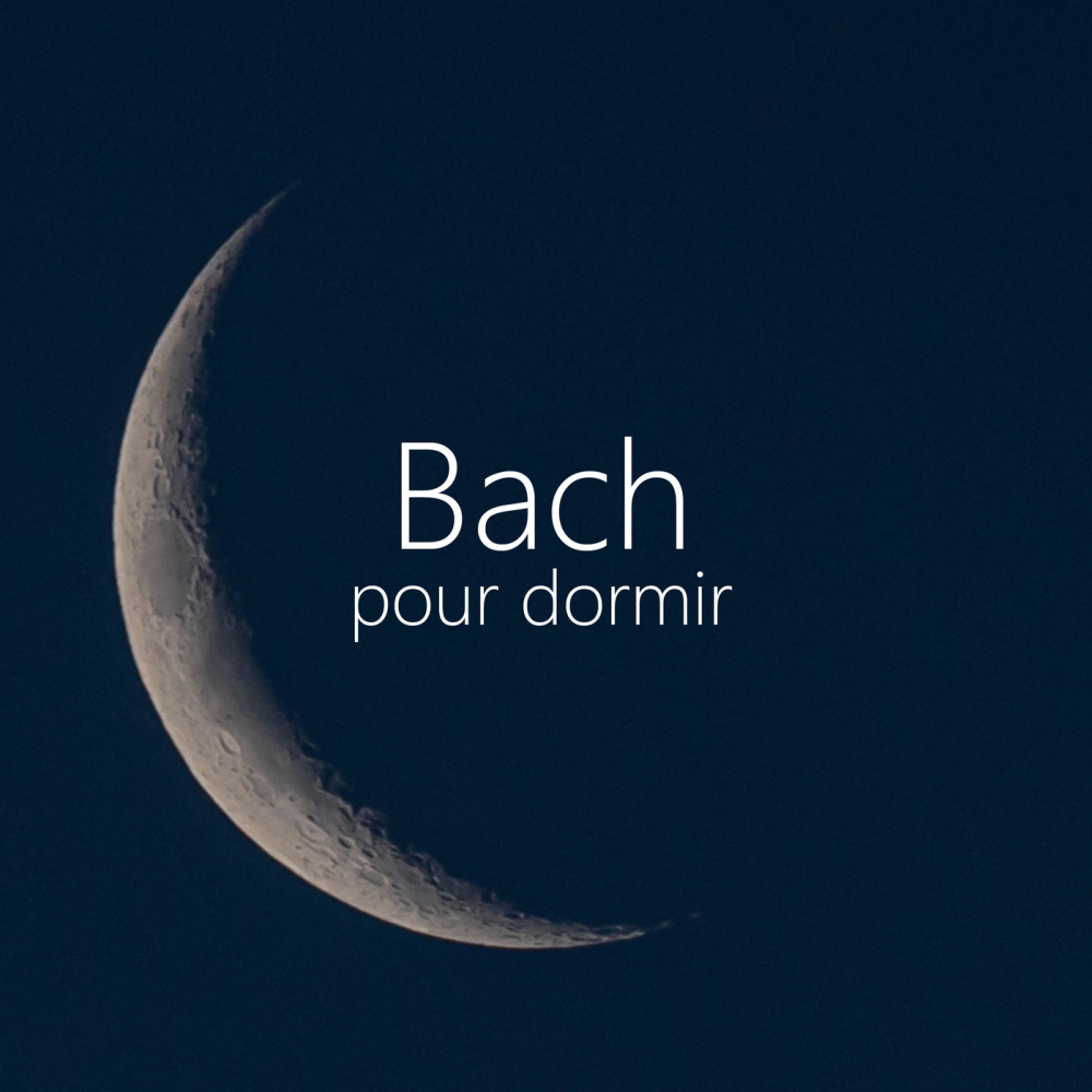 J.S. Bach: Lute Suite in C Minor, BWV 997: III. Sarab