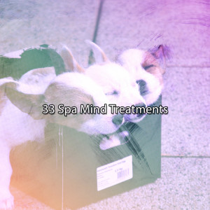 Sleeping Music的專輯33 Spa Mind Treatments