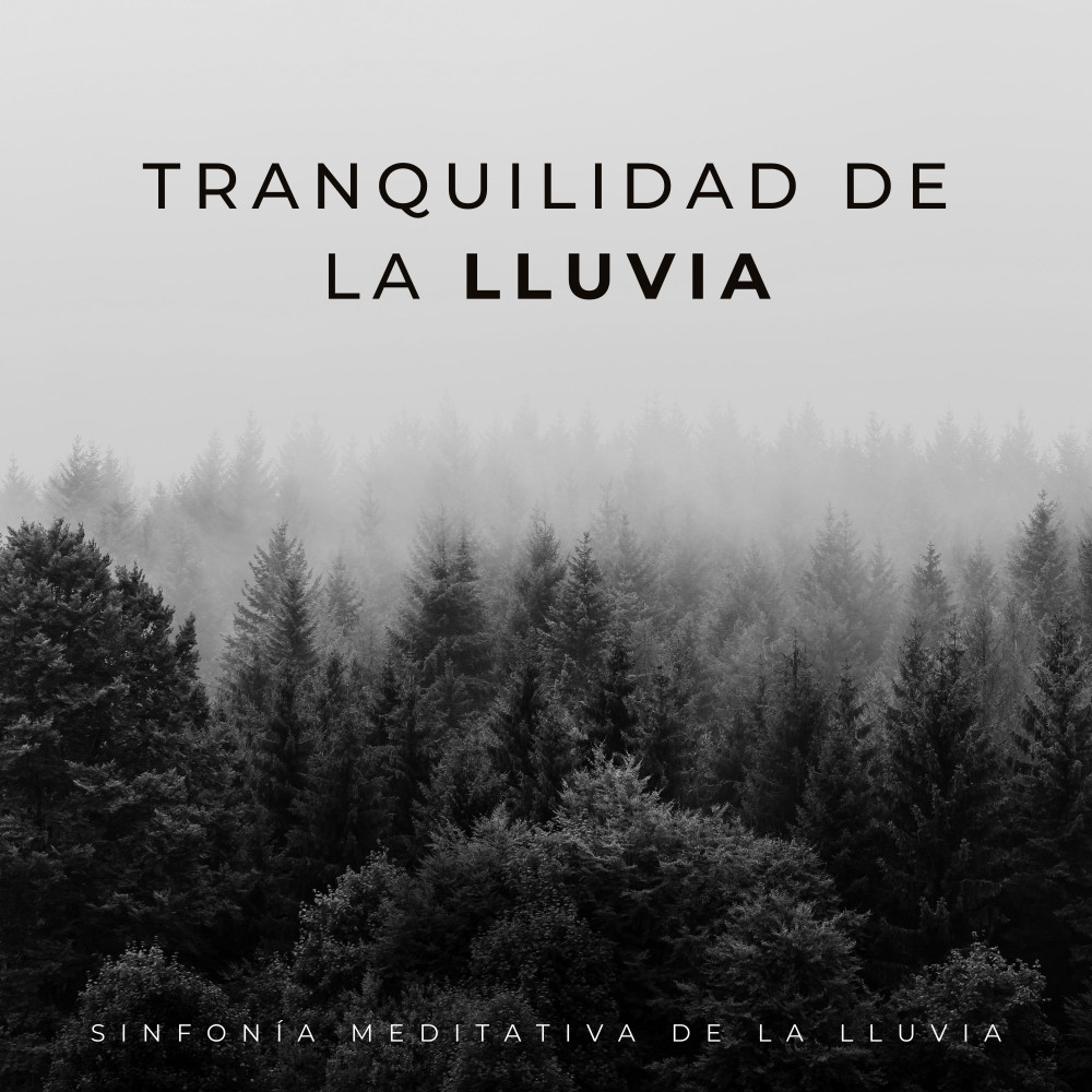 Lluvia Limpiadora De La Mente