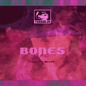 ดาวน์โหลดและฟังเพลง Bones (Explicit) พร้อมเนื้อเพลงจาก Terror Jr