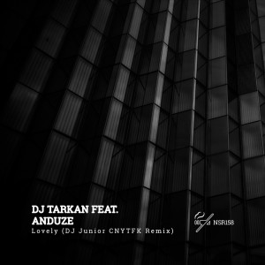 Album Lovely (Dj Junior Cnytfk Remix) from DJ Tarkan