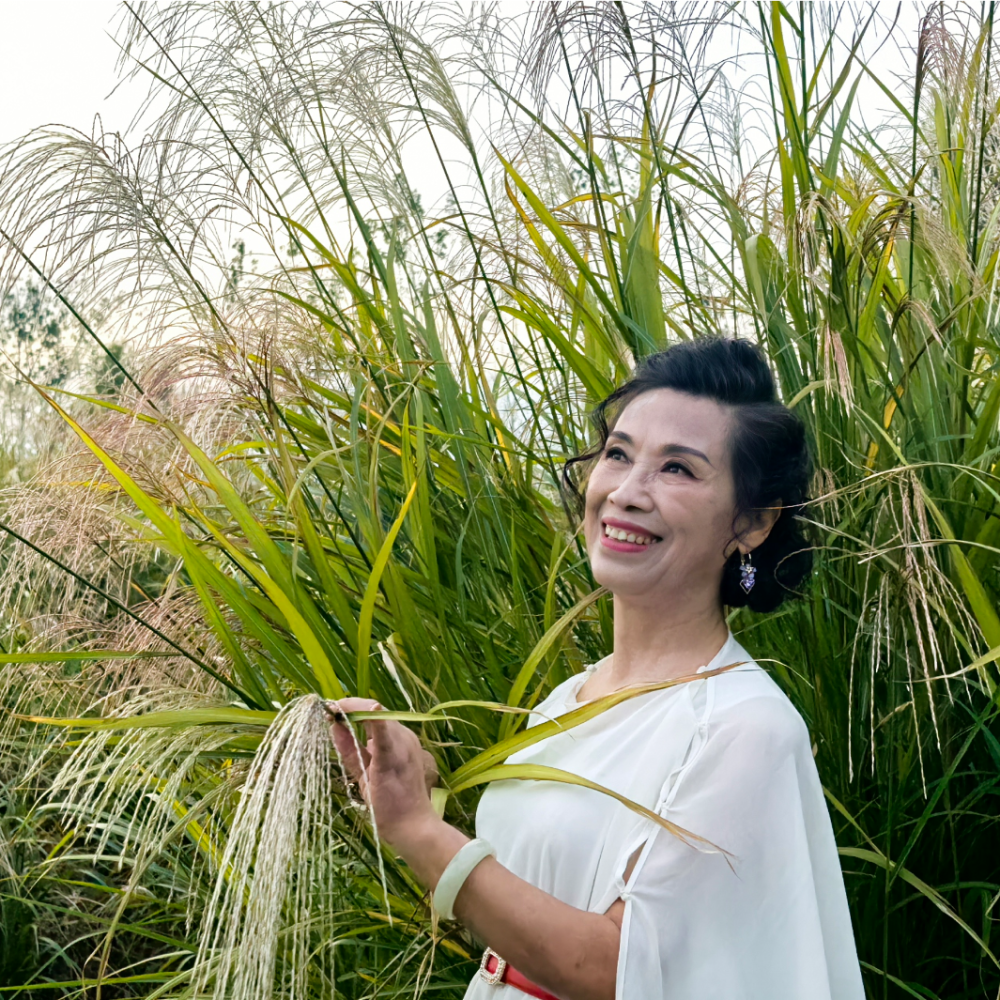 陈丽菲