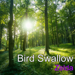 Album Bird Swallow oleh ZELDA
