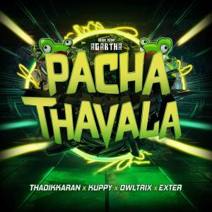 Listen to PACHA THAVALA song with lyrics from THADIKKARAN