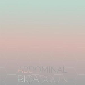 อัลบัม Abdominal Rigadoon ศิลปิน Various