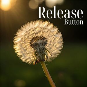 อัลบัม Release Button (One Click to Calm) ศิลปิน Smoothe Sounds