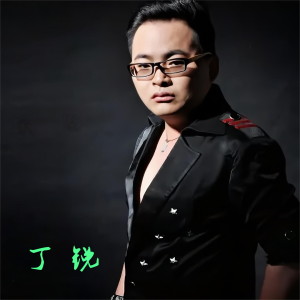 收聽丁銳的想你了歌詞歌曲