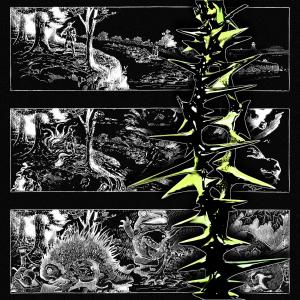 Listen to Órbita! (Explicit) song with lyrics from Wonkaflako