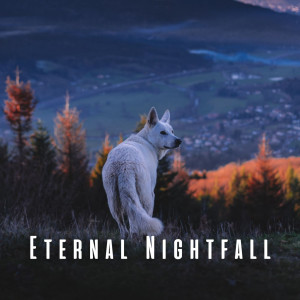 Eternal Nightfall: Wolf's Song for Gentle Sleep