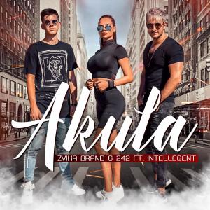 Zvika Brand的專輯Akula (feat. INtellegent)