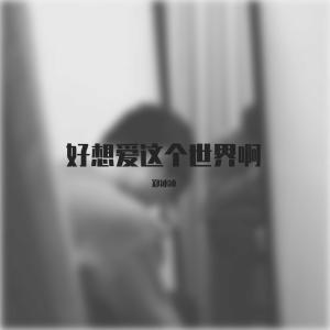 Dengarkan Hao Xiang Ai Zhe Ge Shi Jie A (Instrumental) (伴奏) lagu dari 郑冰冰 dengan lirik