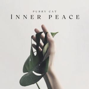 ดาวน์โหลดและฟังเพลง İnner Peace พร้อมเนื้อเพลงจาก PurryCat