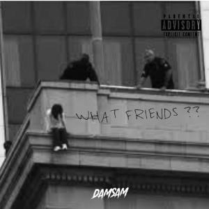 收聽DamSam的What Friends?? (Explicit)歌詞歌曲
